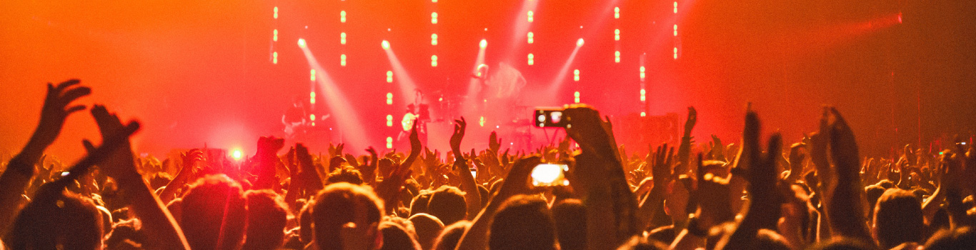 Crowded Concert